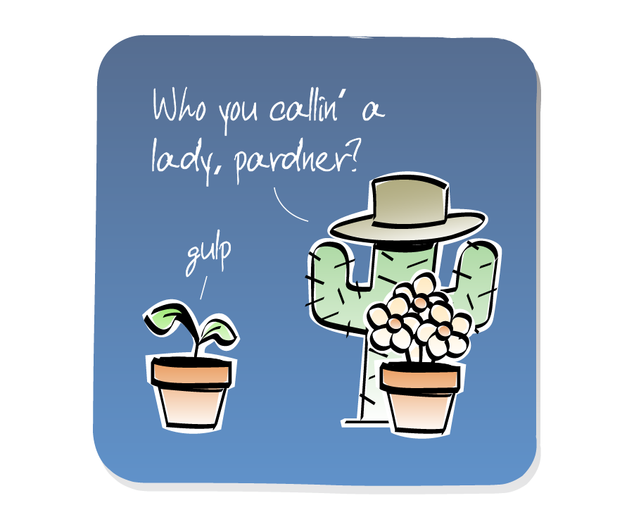 Panel 3: The Cactus wearing the cowboy hat, turns to answer Plant, who is in a pot. A bunch of Flowers in a pot looks on. Cactus says: "Who you callin' a lady, pardner?" Plant says: "gulp"