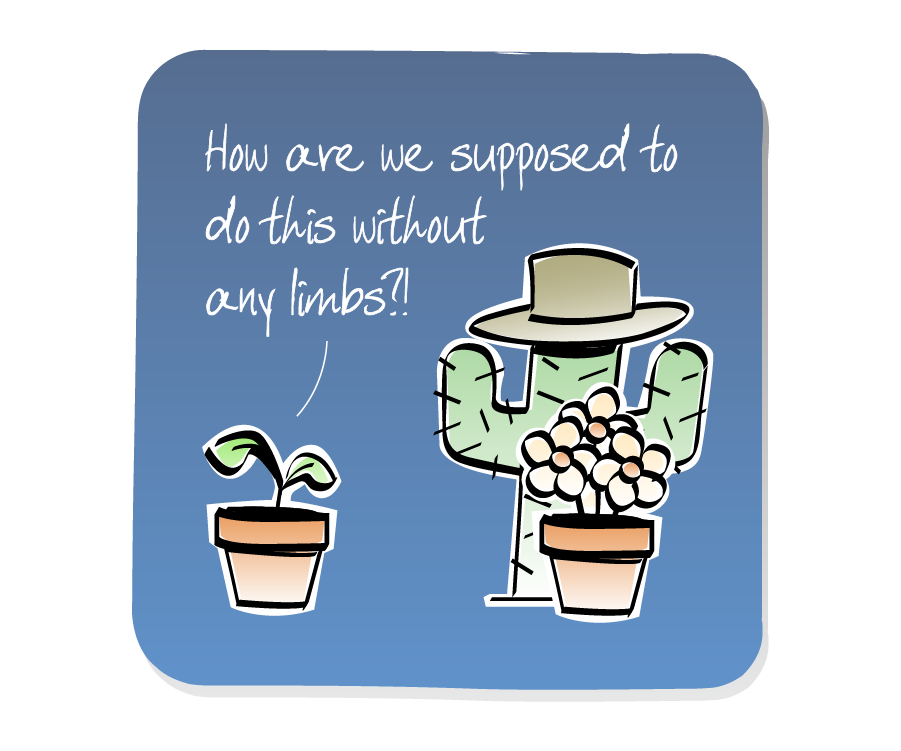 Panel 3: Plant, in a pot, questions Cactus, who is wearing a cowboy hat. A bunch of Flowers in a pot looks on. Plant says: "How are we supposed to do this without any limbs?!"