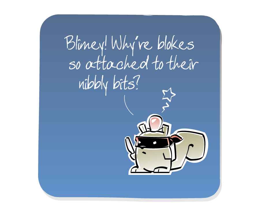 Panel 3: Squirrel stands dazed with a swollen lump on its head. Squirrel is wearing a bandit mask and holding a knife. Squirrel says: "Blimey! Why're blokes so attached to their nibbly bits?"